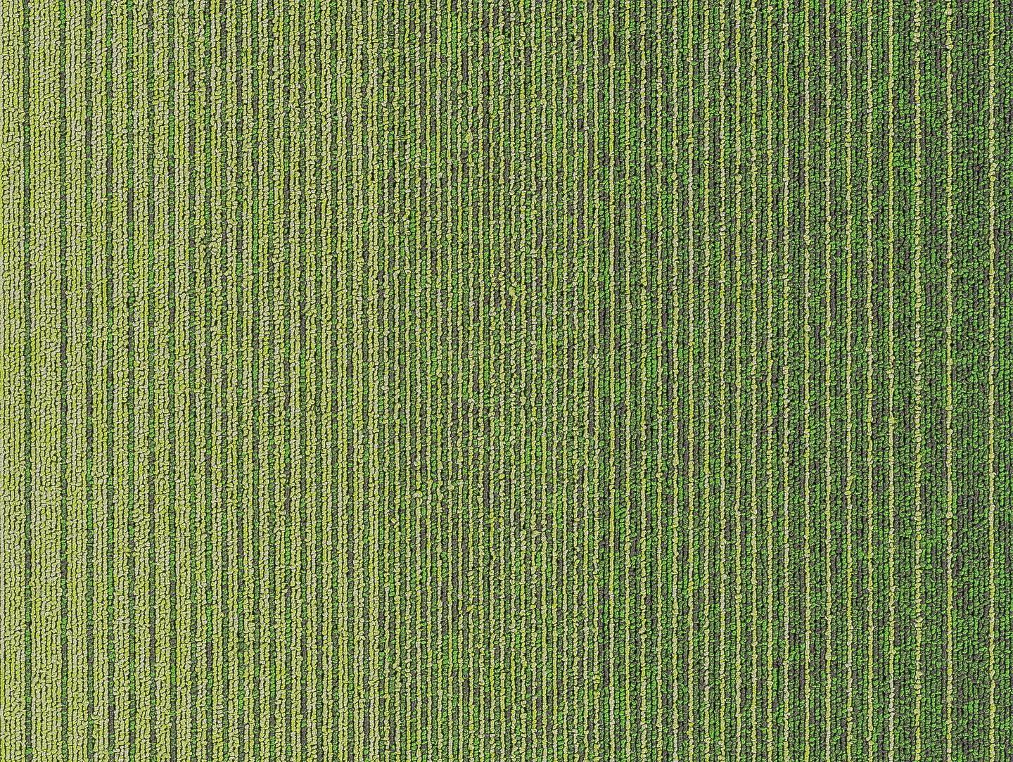 300590412_755446642521553_2834346606764746053_n