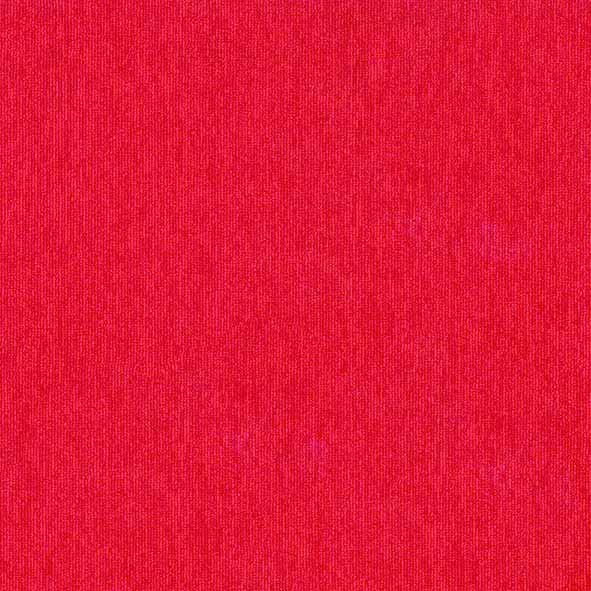 Color-Plus-5