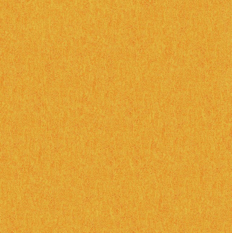 Color-Plus-6